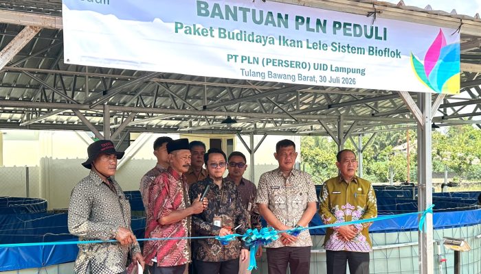 Dorong Ekonomi Berkelanjutan dan Ketahanan Pangan, PLN Peduli Salurkan Program Budidaya Lele Bioflok di Tulang Bawang Barat